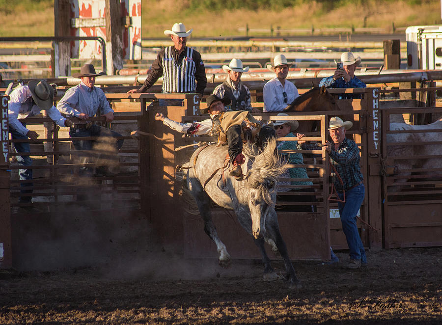 Bronc riding Photograph by Stan Foster - Fine Art America