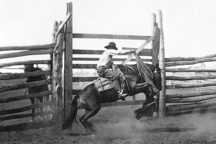 Bronco Busting Painting By L.a. Huffman - Fine Art America