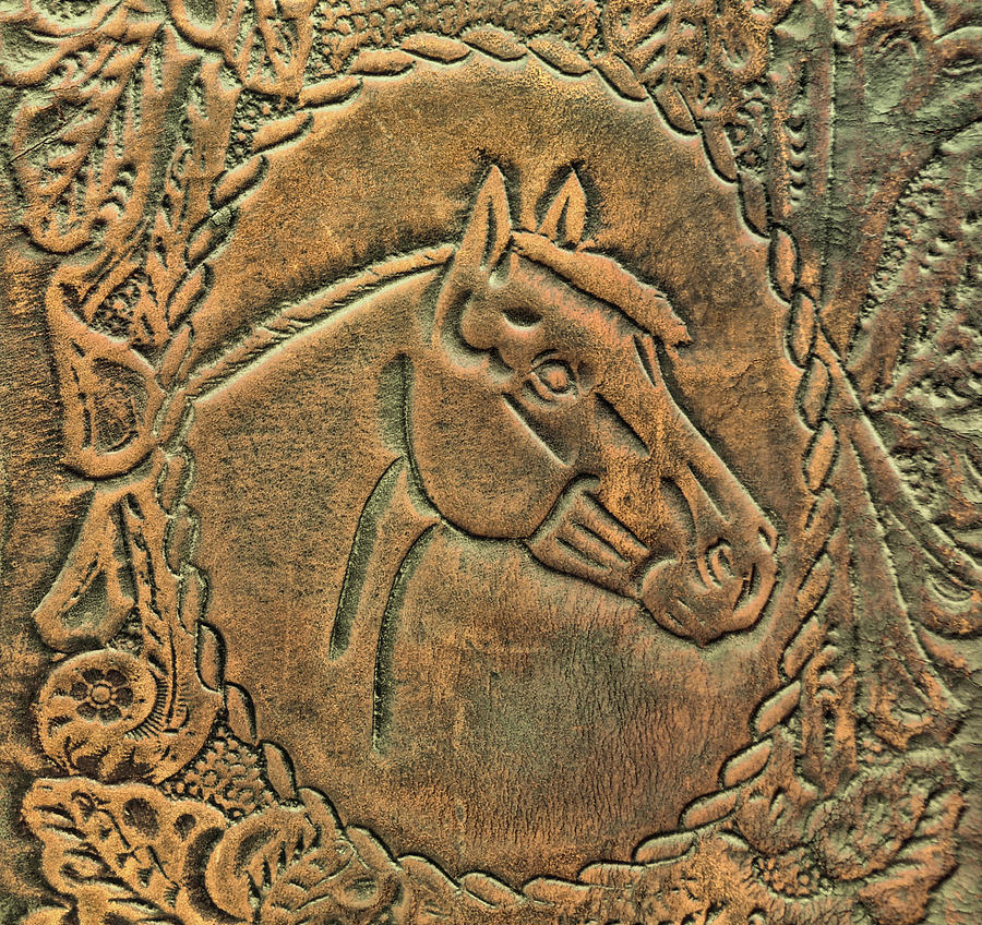 Bronze Filly Leather Photograph by Dressage Design