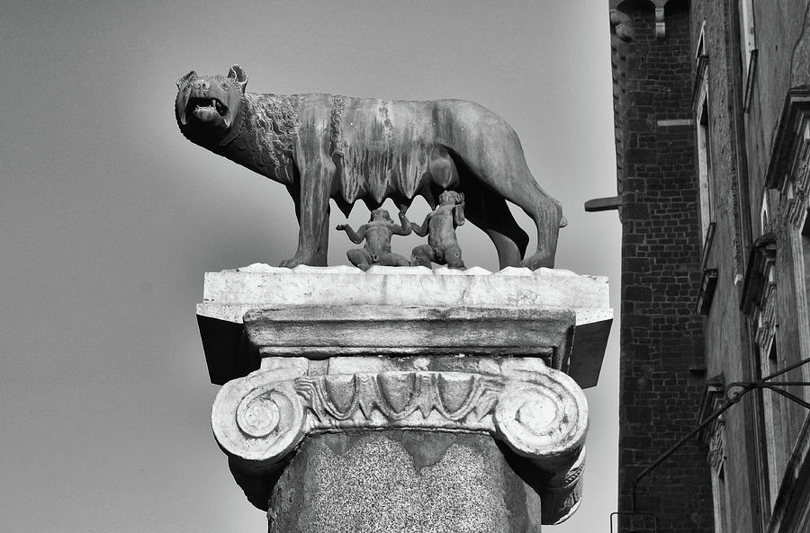 Bronze Romulus Remus and Wolf Statue at Capitoline Museum Rome Italy Black and White Photograph by Shawn OBrien