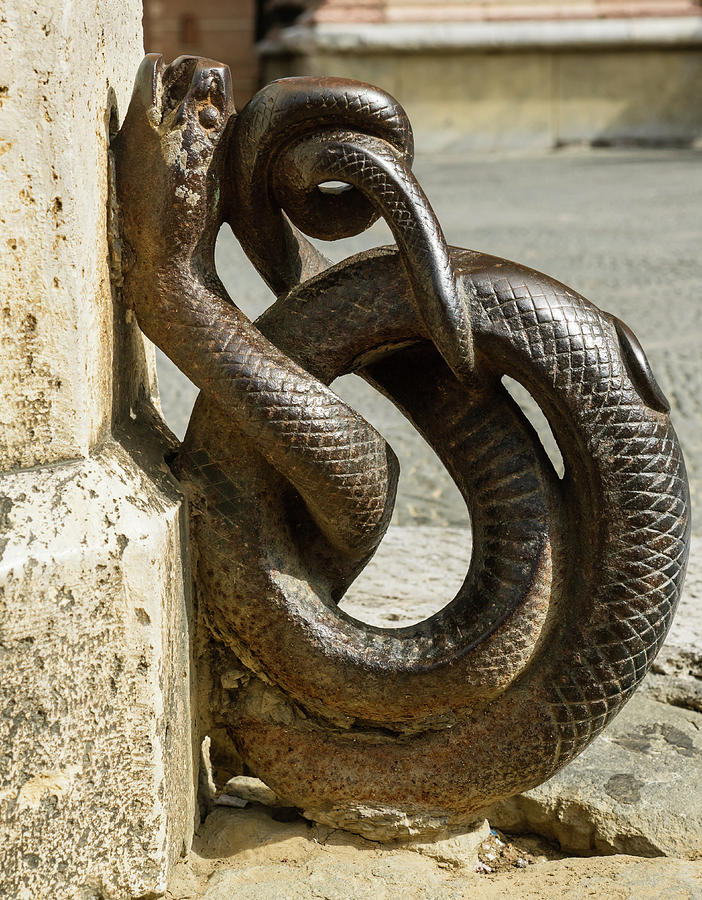 Architecture Photograph - Bronze snake street ornament by Tosca Weijers