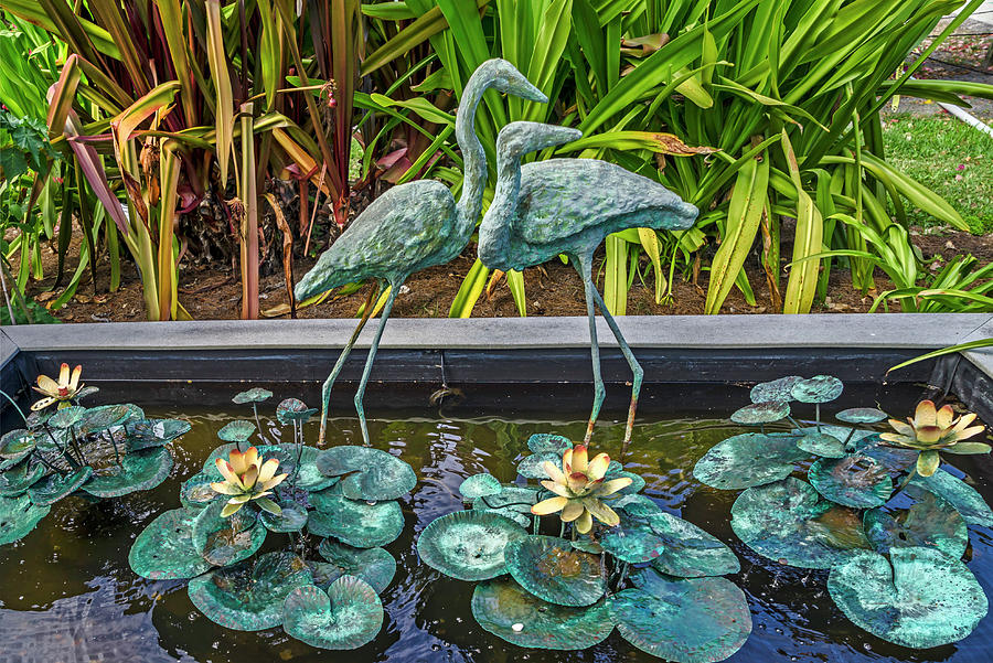 Bronze Water Sculptures Of Birds Digital Art by Laura Zeid