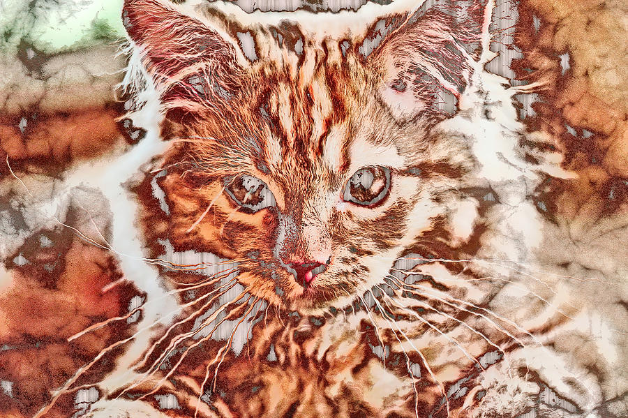Bronzed Kitten Digital Art by Don Northup