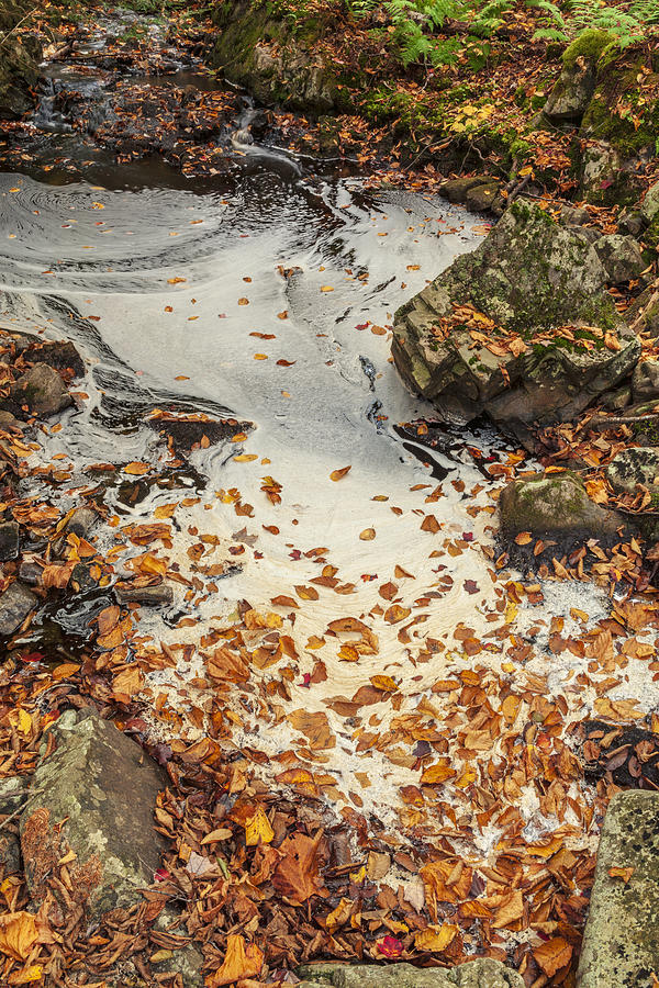 Brook Foam and Autumn Leaves Photograph by Irwin Barrett