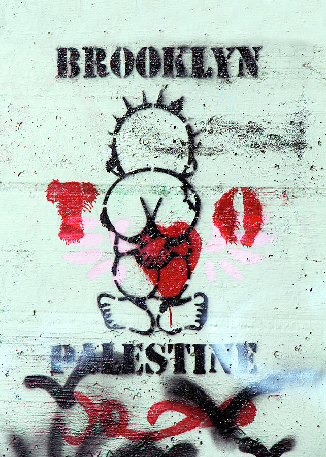 Brooklyn and Palestine Photograph by Munir Alawi