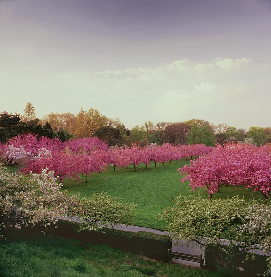 Brooklyn Botanical Gardens Spring Color Photograph by Richard Felber