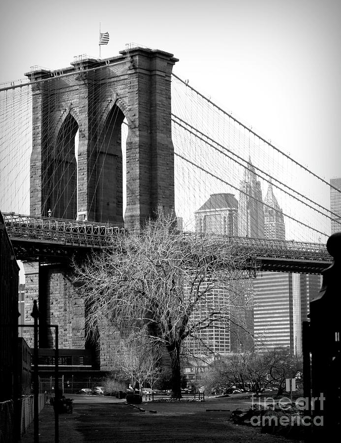 Brooklyn Bridge Black White  Photograph by Chuck Kuhn