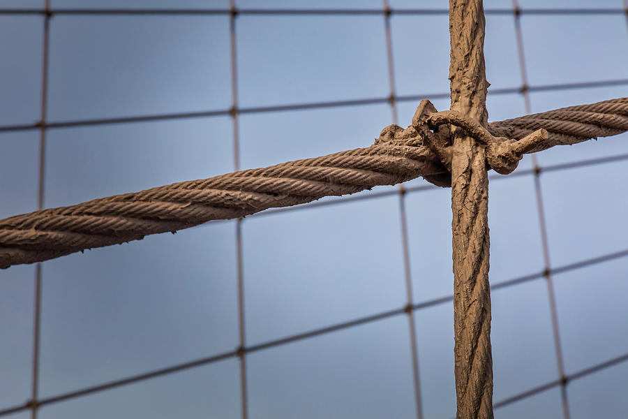 Brooklyn Bridge Cables Photograph by Susan Candelario