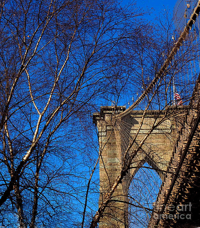 Brooklyn Bridge Trees Photograph by Raymond Earley