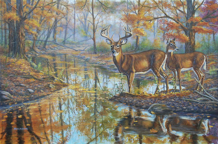 Deer Painting - Brookside Retreat - Whitetails by Bruce Dumas