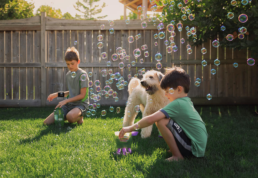 Summer Photograph - Brothers Blowing Bubbles With Schnauzer At Backyard During Summer by Cavan Images