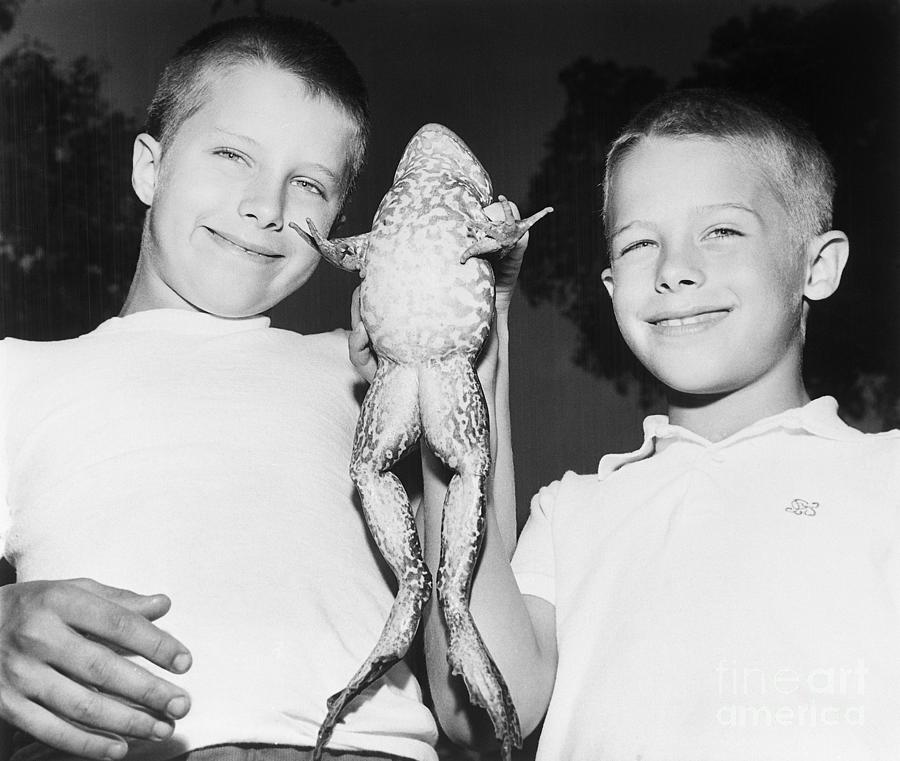 Brothers With Found Frog Pet Photograph by Bettmann