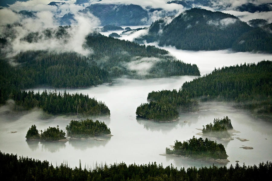 Broughton Archipelago, British by Mint Images - Art Wolfe