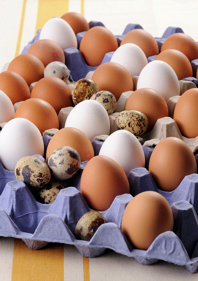 Brown And White Eggs And Quails Eggs Photograph by Franco Pizzochero