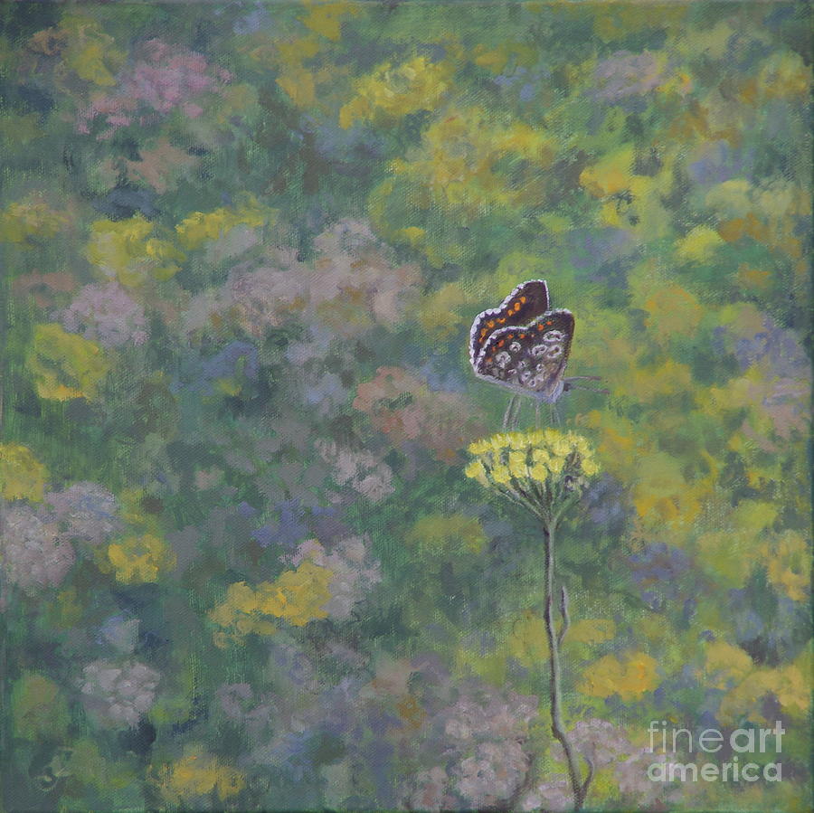 Brown Argus After Photo By Sara Crow Painting by Ruth Addinall