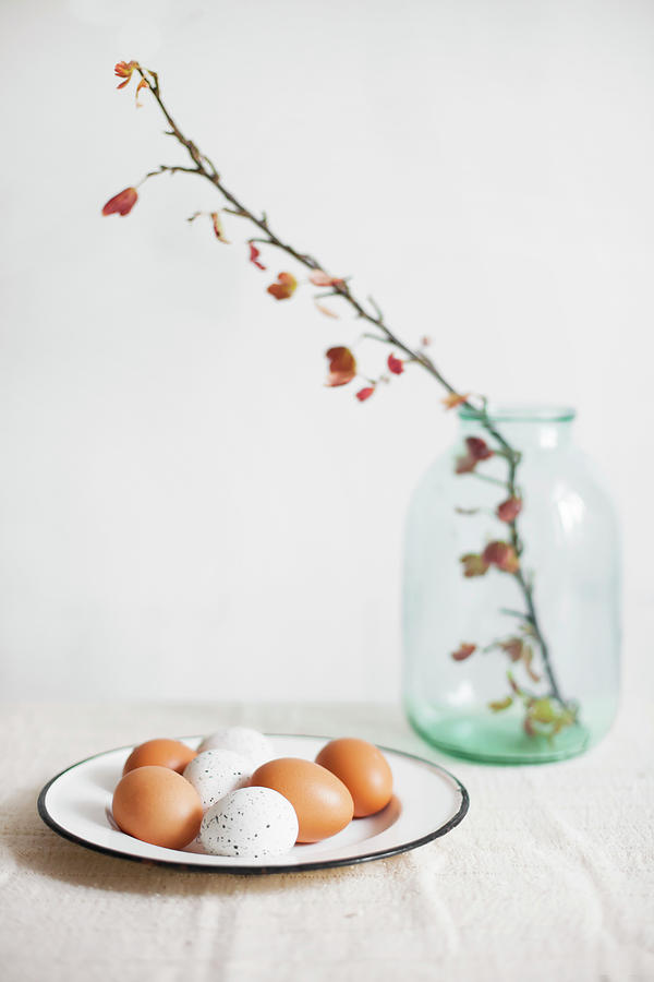 Brown Eggs And White, Speckled Eggs On Enamel Plate And Flowering Branch In Glass Jar Photograph by Alicja Koll