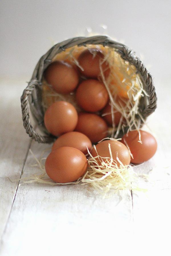 Brown Eggs Photograph by Sylvia E.k Photography