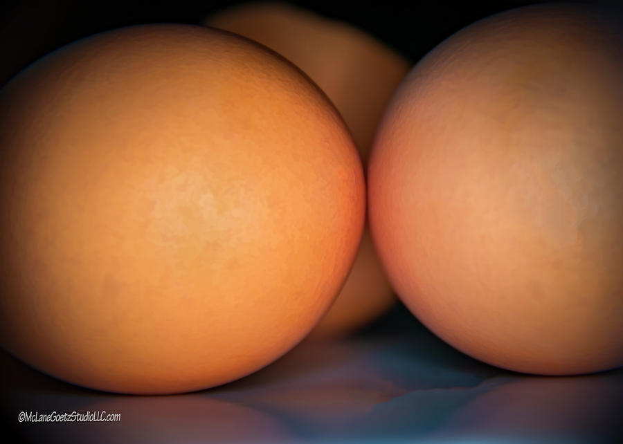 Chicken Photograph - Brown Eggshells  by LeeAnn McLaneGoetz McLaneGoetzStudioLLCcom