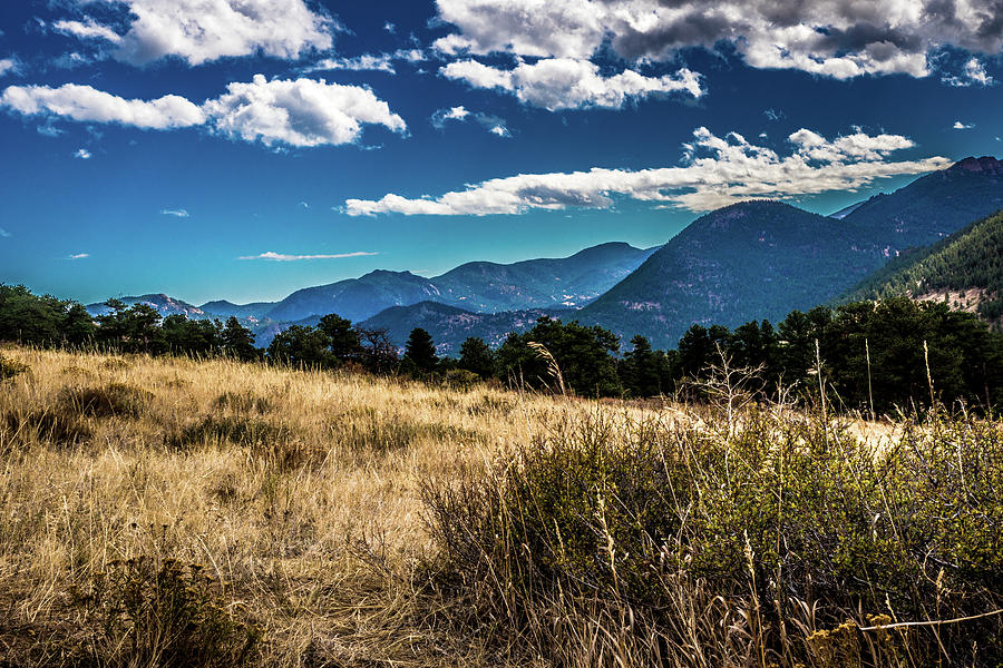 Brown Grass and Mountains Photograph by James L Bartlett