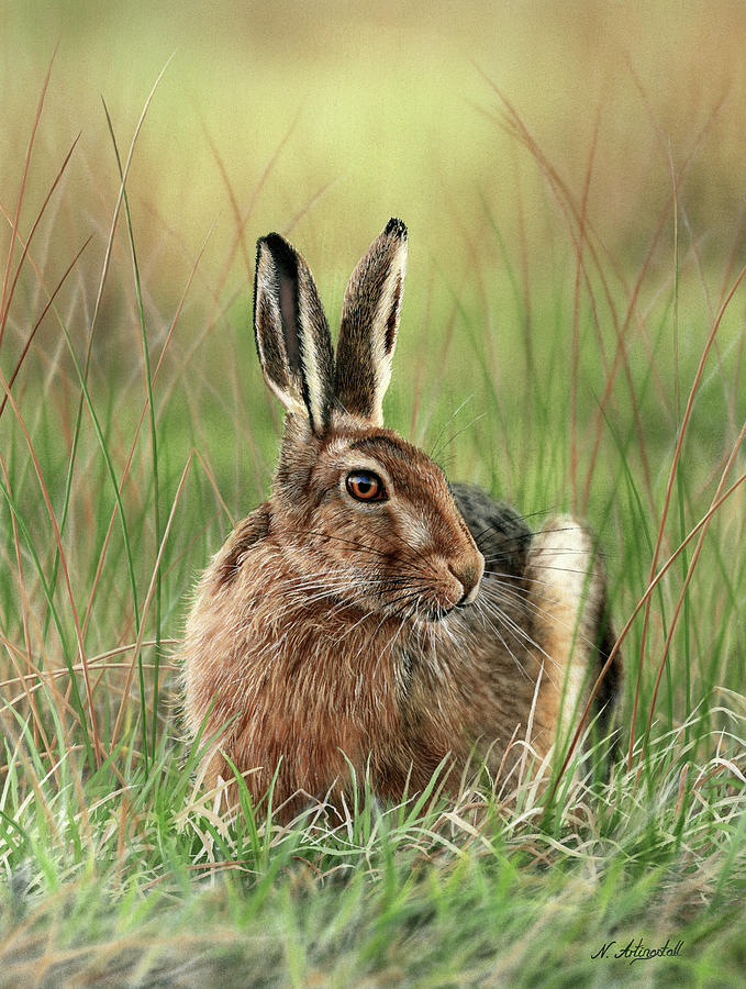 Rabbit Painting - Brown Hare 0754 by Nigel Artingstall