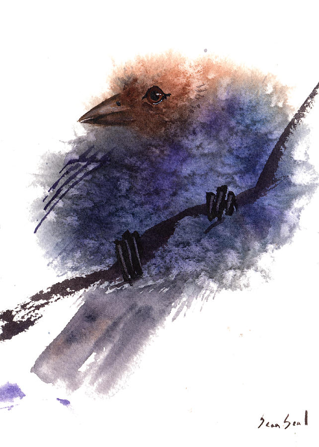 Brown Headed Cowbird Painting by Sean Seal