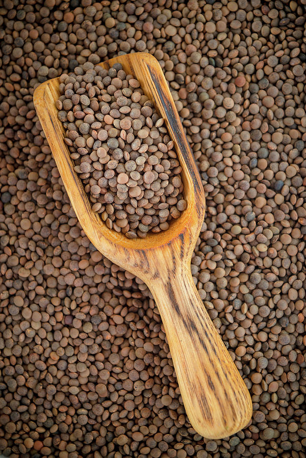 Brown Lentils With A Scoop Photograph by Nitin Kapoor