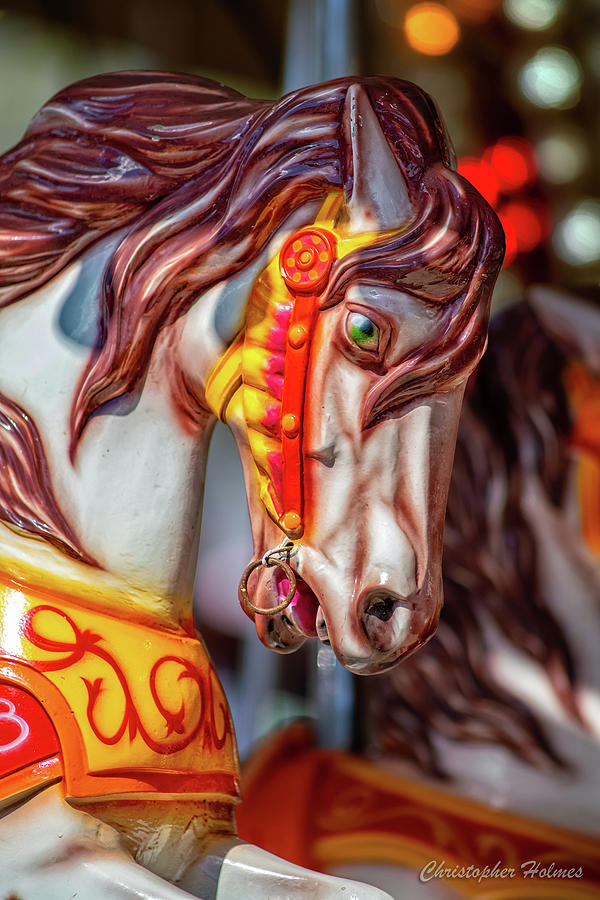 Brown Mane Carousel Horse Photograph by Christopher Holmes