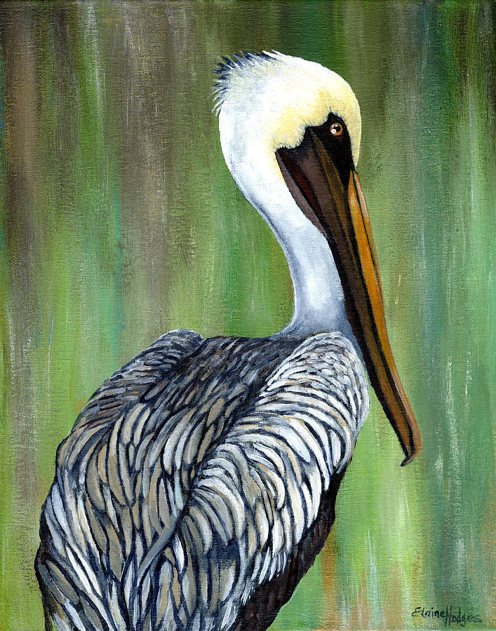 Brown Pelican 2 Painting By Elaine Hodges Fine Art America