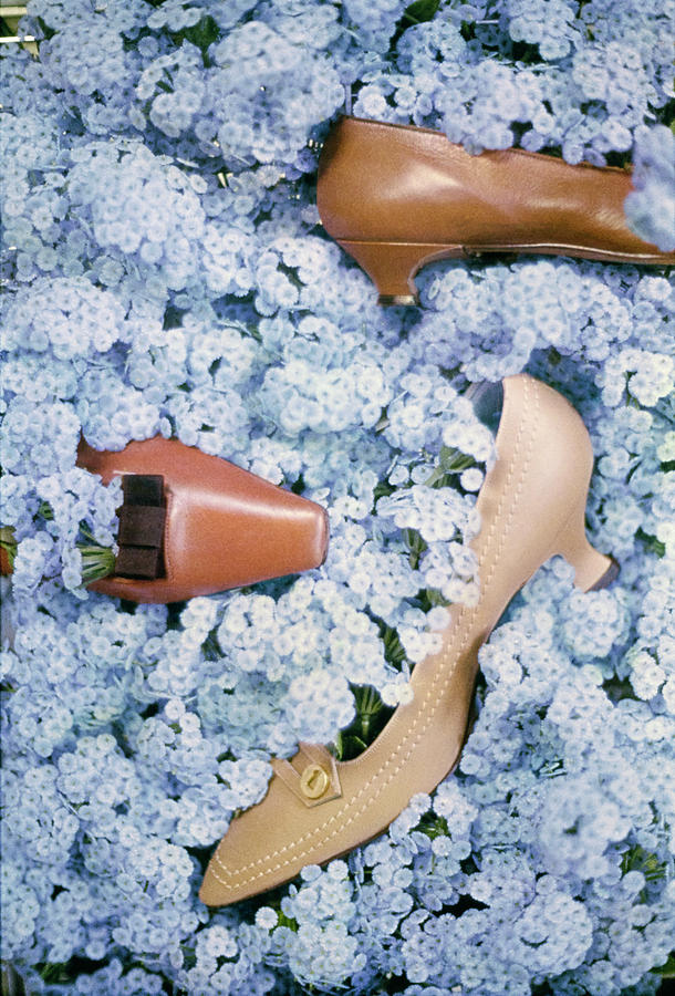 Still Life Photograph - Brown Shoes in Bed of Blue Flowers by Gordon Parks