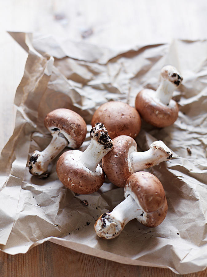 Brown Stone Mushrooms On Paper Photograph by Oliver Brachat