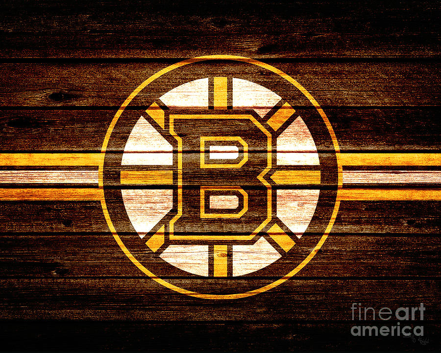 Bruins Fan Photograph by Billy Knight