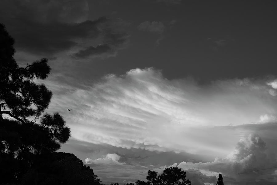 Brush Stroke Clouds Photograph by Robert Wilder Jr