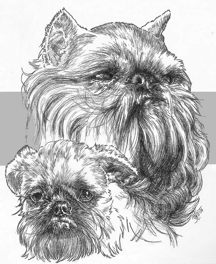 Brussels Griffon and Pup Drawing by Barbara Keith