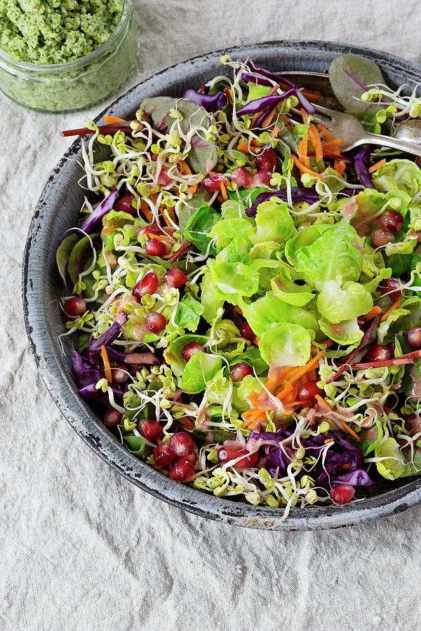 Brussels Sprout Salad With Pomegranate Seeds, Lentil Sprouts, Carrot Strips And Red Cabbage Strips Photograph by Tina Engel