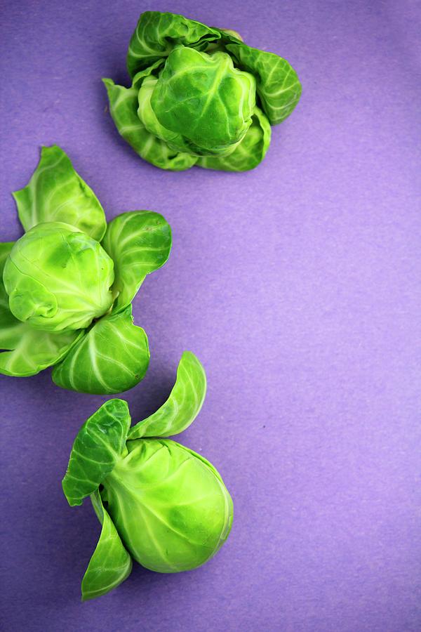 Brussels Sprouts On A Purple Surface Photograph by Foodopera