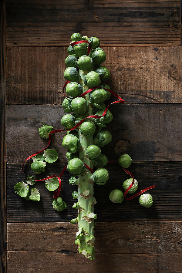 Brussels Sprouts Roughly Arranged In The Shape Of A Christmas Tree Photograph by Stacy Grant