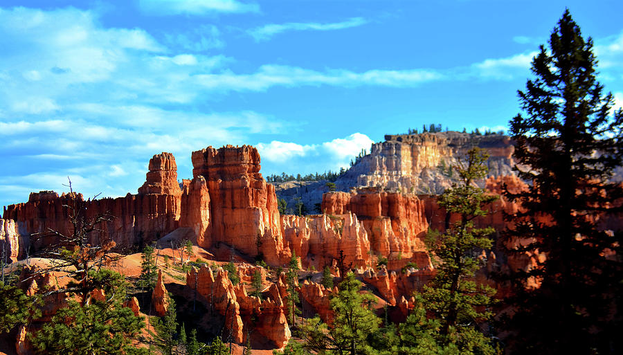 Bryce Amphitheater 2 Photograph by Brian Goodbar - Fine Art America