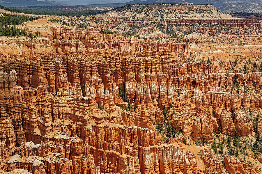 Bryce Canyon 2 Photograph by Ernest Echols