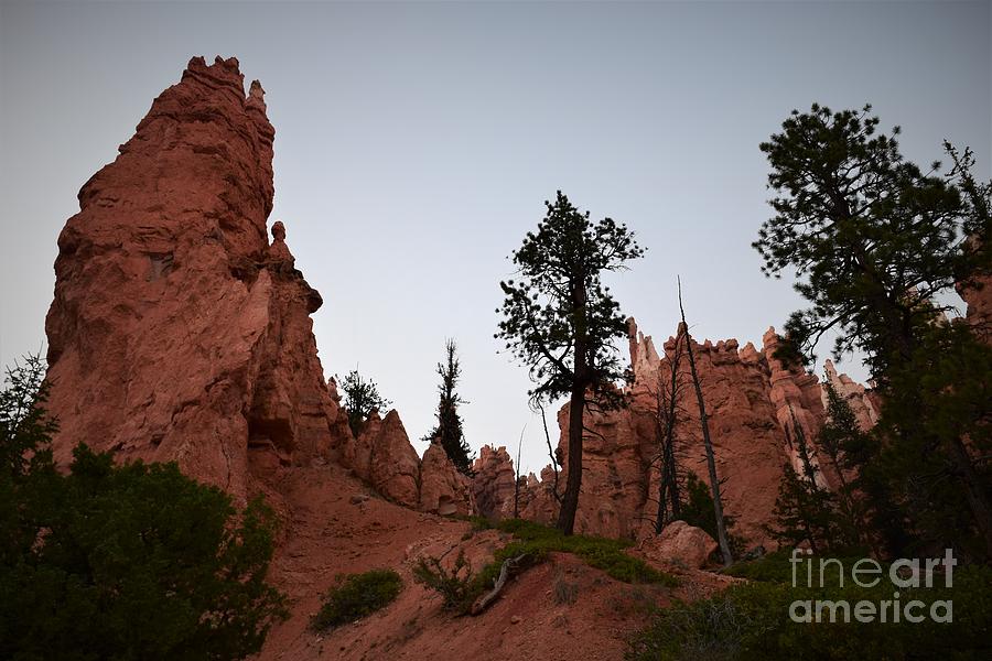 Bryce Canyon at Dusk Photograph by Leslie M Browning