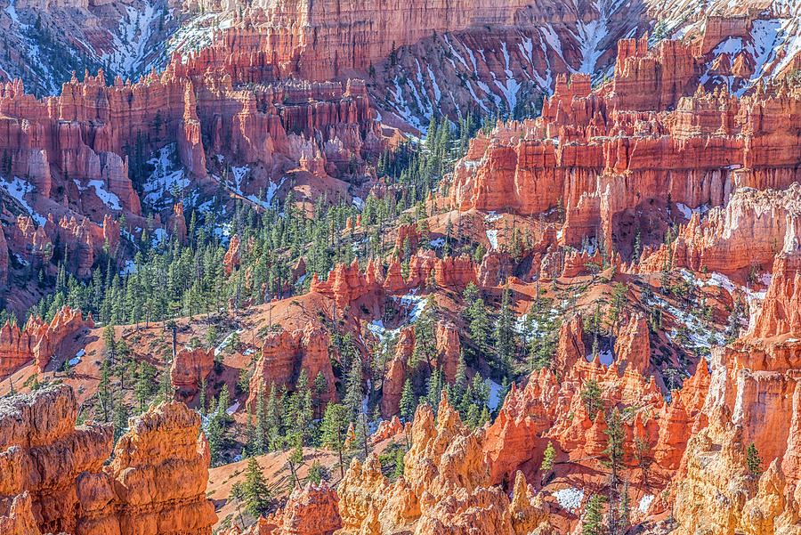 Nature Photograph - Bryce Canyon Beauty by Joseph S Giacalone