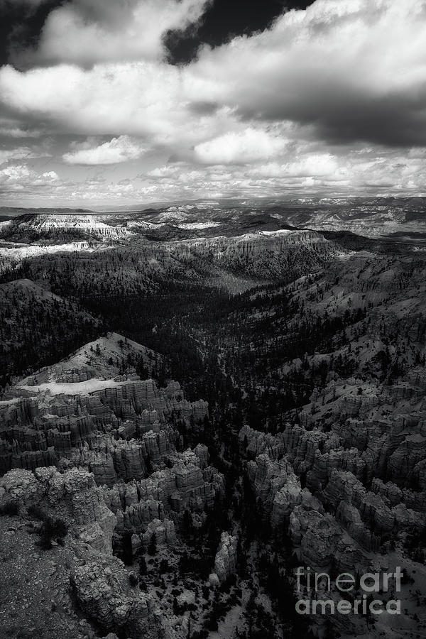 Bryce Canyon BnW Photograph by Izet Kapetanovic