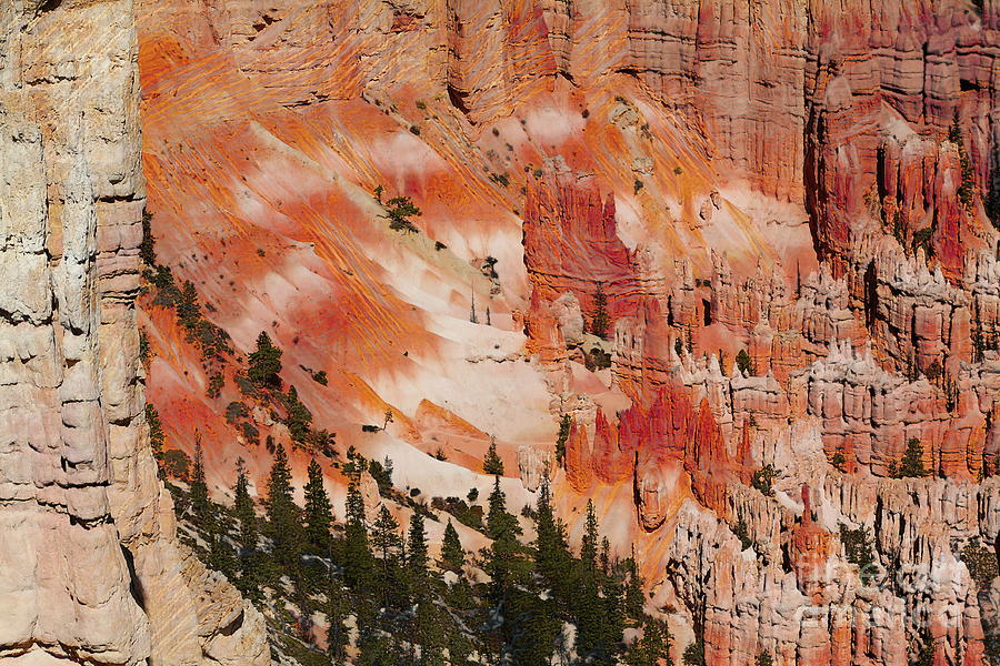 Bryce Canyon Close Up Hoodoo Photograph by Chuck Kuhn