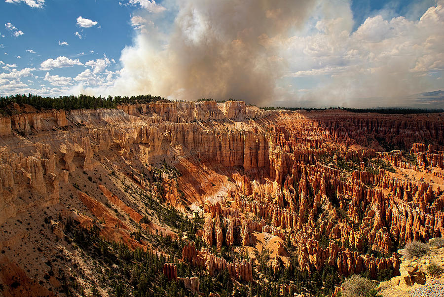 Bryce Canyon Photograph by Darren Neupert Photography & Digital Imagery