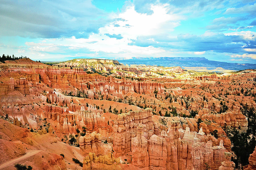 Bryce Canyon Photograph by Dhmig Photography