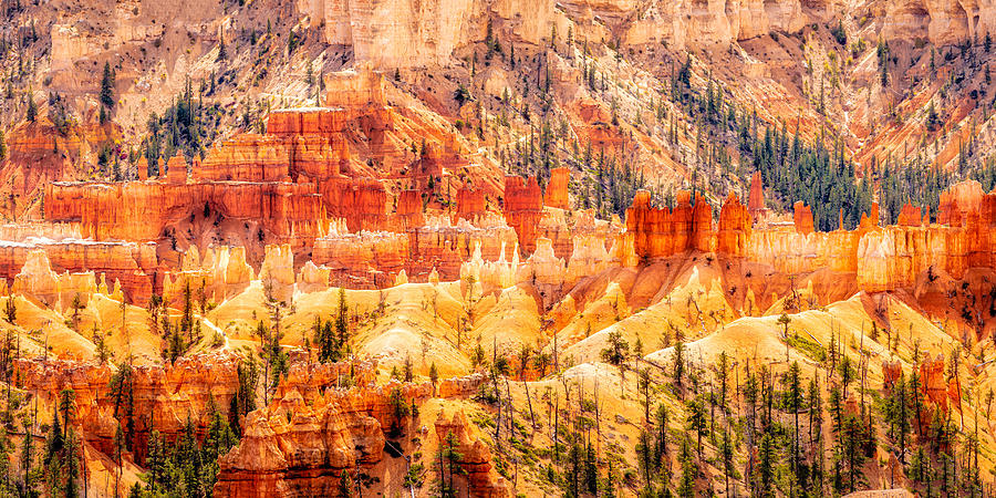 Landscape Photograph - Bryce Canyon by Dieter Walther