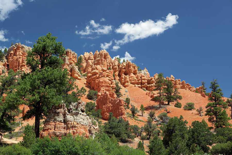 Bryce Canyon Photograph by Donnichols