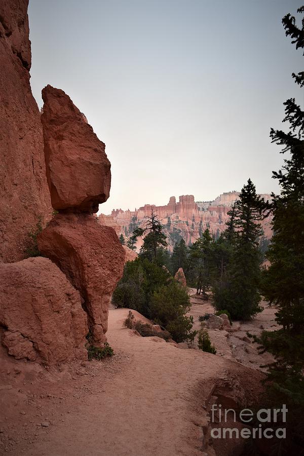 Bryce Canyon Dusk Photograph by Leslie M Browning