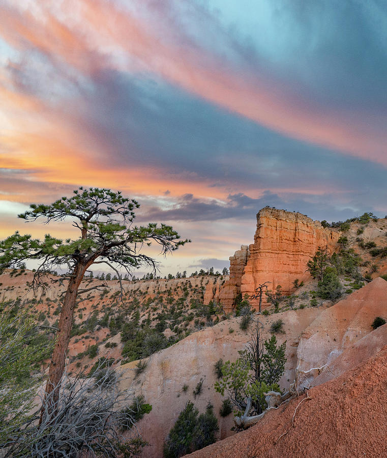 Bryce Canyon Fairyland Photograph by Tim Fitzharris