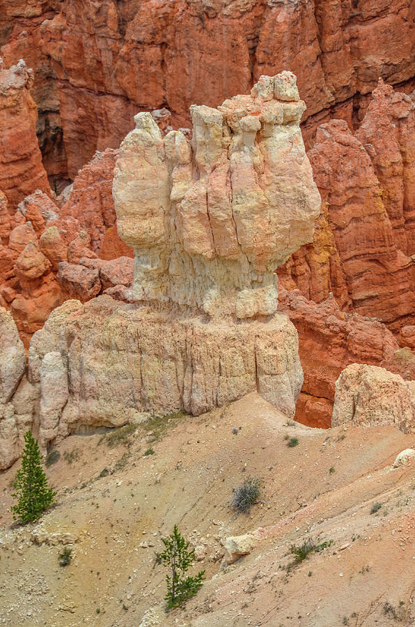 Bryce Canyon Hoodoo Photograph by Douglas Wielfaert