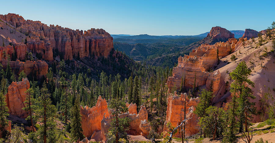 Bryce Canyon in November Photograph by Arthur Oleary